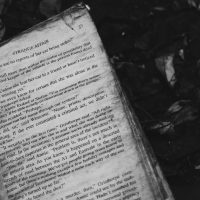 grayscale photo of book on ground