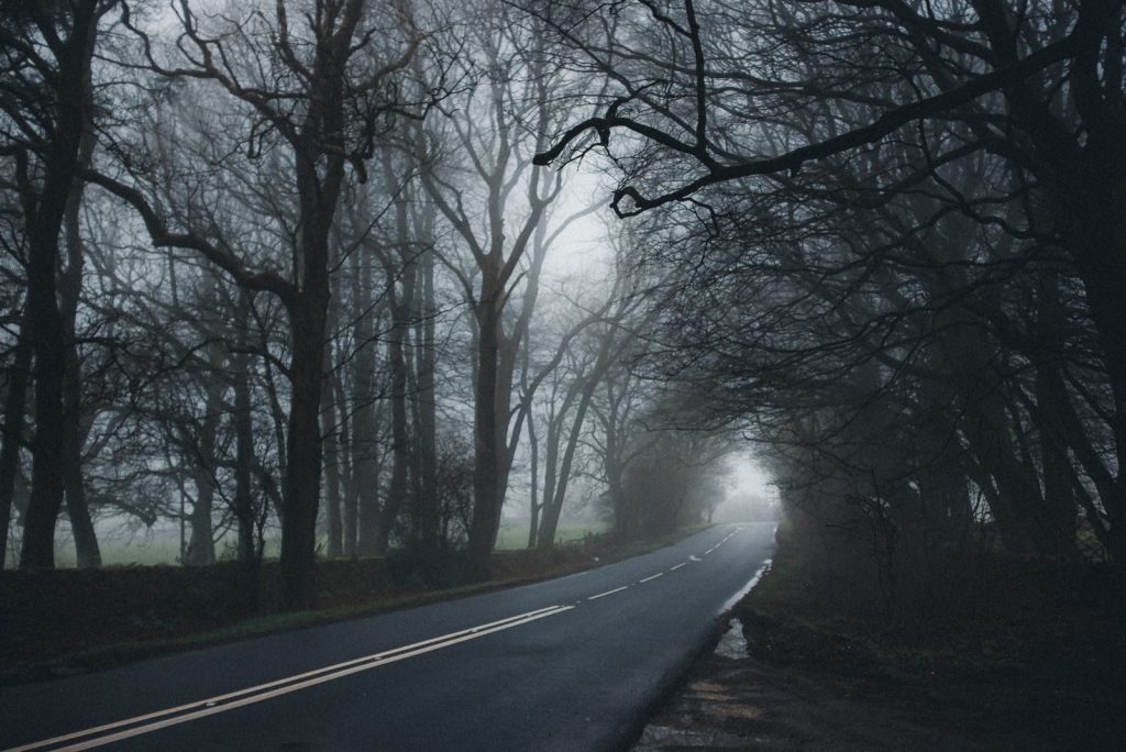 Misty country road flanked by bare trees in a foggy, eerie forest setting.