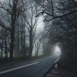Misty country road flanked by bare trees in a foggy, eerie forest setting.