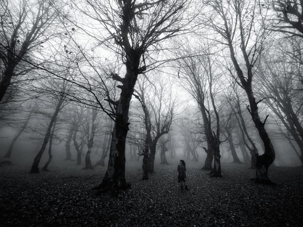 A lone figure stands among bare trees in a foggy forest, evoking mystery.