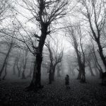 A lone figure stands among bare trees in a foggy forest, evoking mystery.