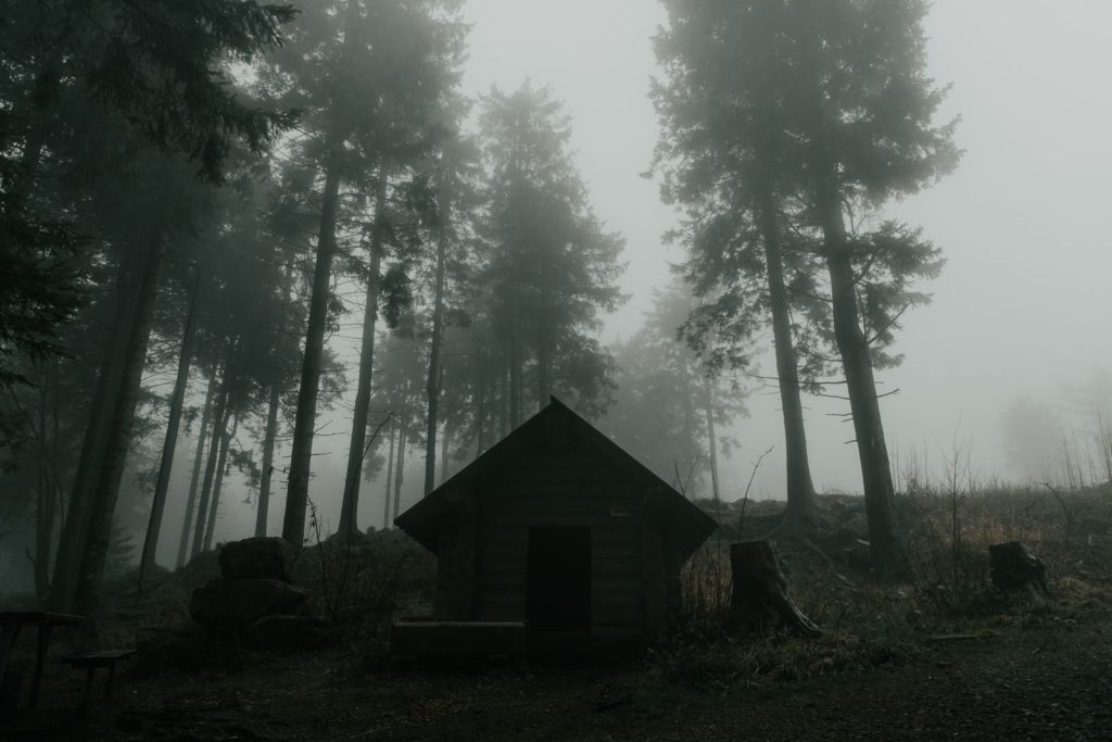 A misty morning in a dense forest with towering trees and a small cabin.