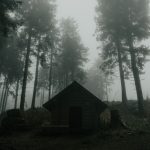 A misty morning in a dense forest with towering trees and a small cabin.
