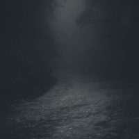 Empty gloomy pathway running away in dense fog with dark gray trees in woods