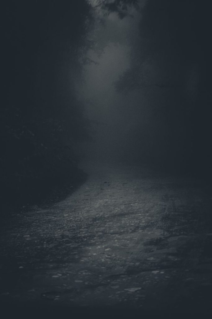 Empty gloomy pathway running away in dense fog with dark gray trees in woods