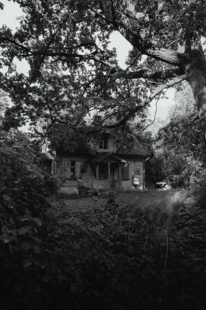 Eerie black and white photo of an abandoned house surrounded by dense foliage and trees.