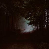 A moody and mysterious forest pathway captured at twilight, inviting exploration.