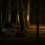 blue tent in the middle of forest during daytime