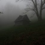 gray wooden house covered by fog