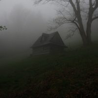 gray wooden house covered by fog
