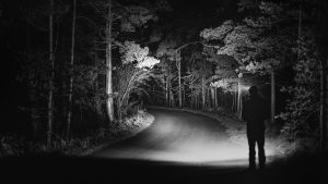 Mysterious forest road at night with a solitary silhouette, creating a haunting atmosphere.