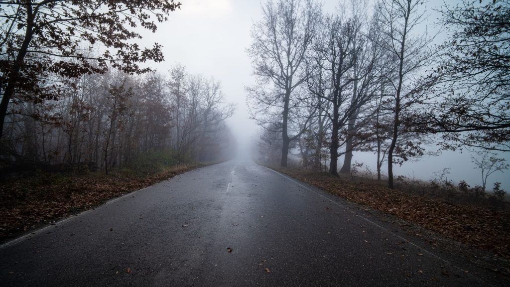 A misty road through a foggy forest in autumn, creating a serene and mysterious atmosphere.