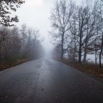 A misty road through a foggy forest in autumn, creating a serene and mysterious atmosphere.