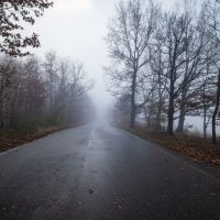 A misty road through a foggy forest in autumn, creating a serene and mysterious atmosphere.
