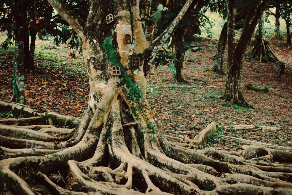 A mystical tree with fairy doors amidst sprawling roots in a lush forest setting.