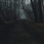 a path in the middle of a dark forest