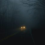 vehicle on road between trees