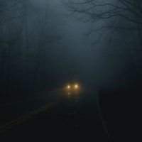 vehicle on road between trees